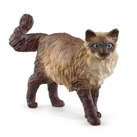 Chat Ragdoll