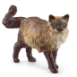 Chat Ragdoll