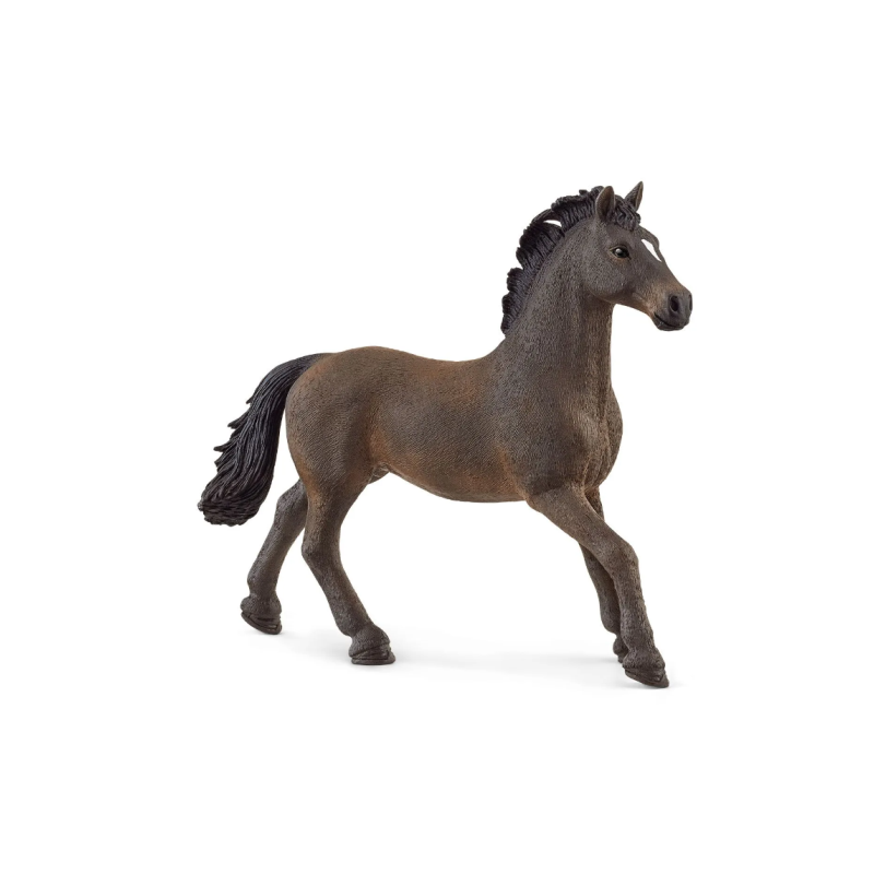 Etalon Oldenbourg