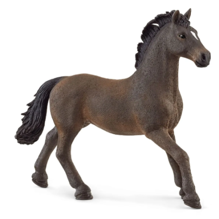 Etalon Oldenbourg