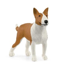 Bull terrier