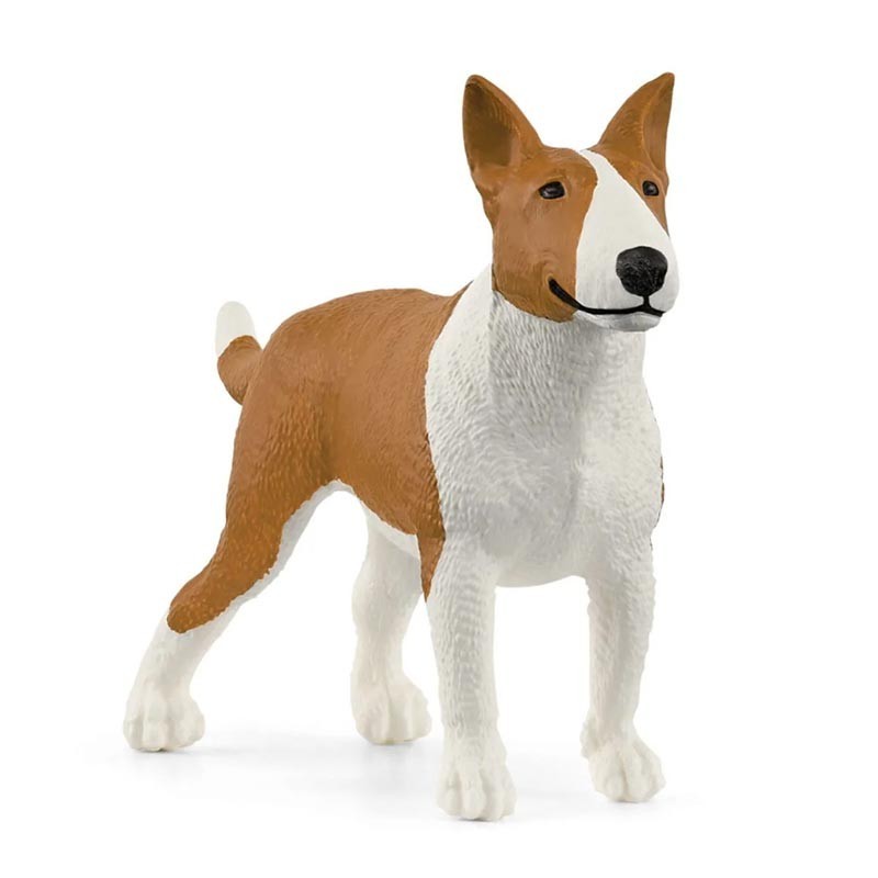 Bull terrier