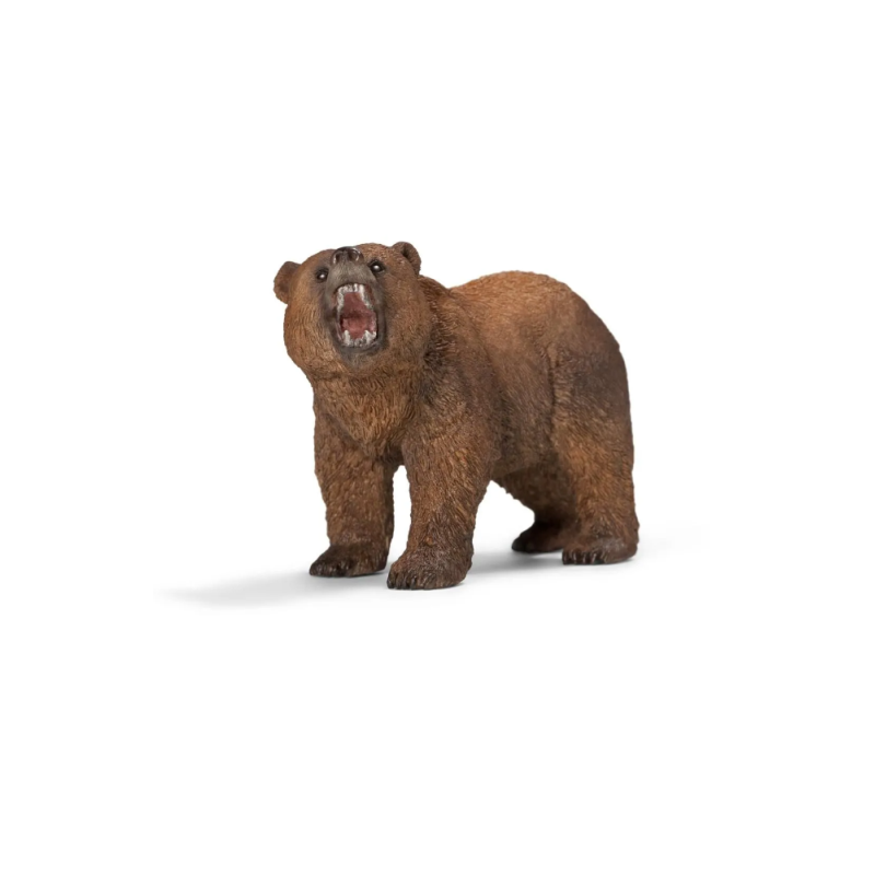 Ours Grizzly