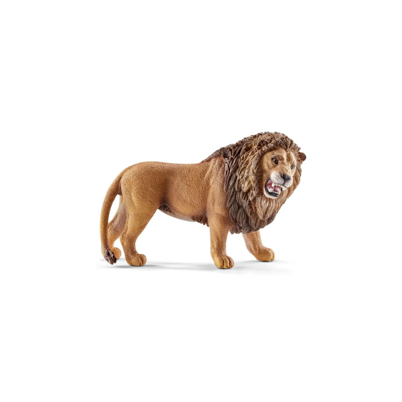 Lion rugissant