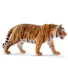Tigre du bangale