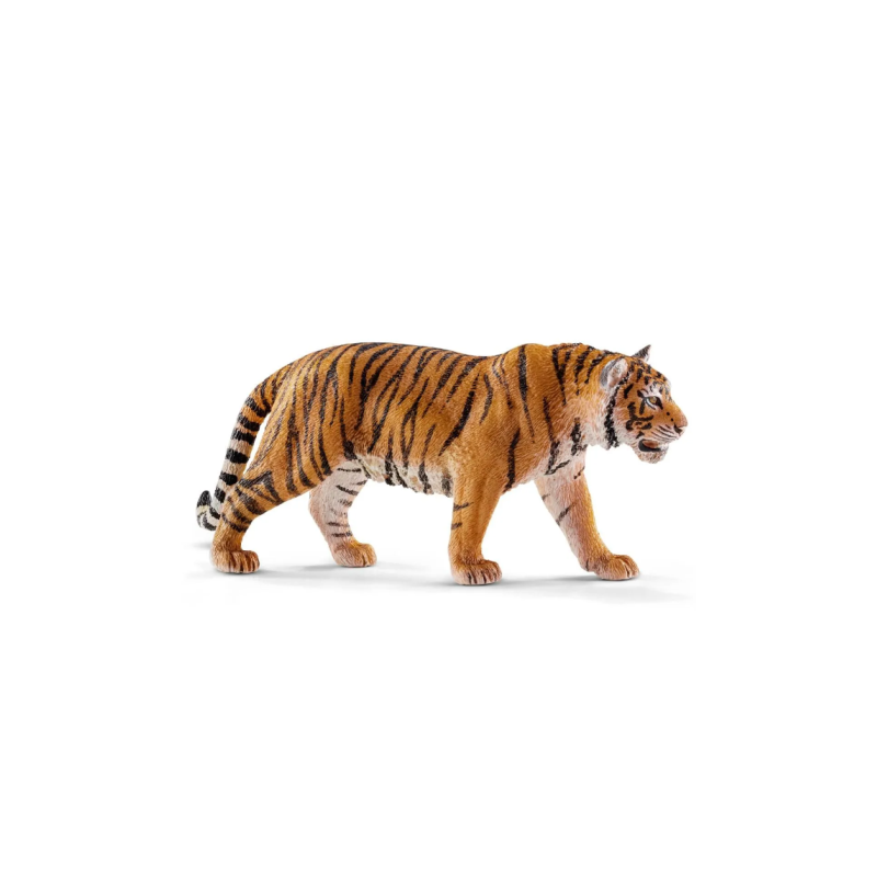 Tigre du bangale