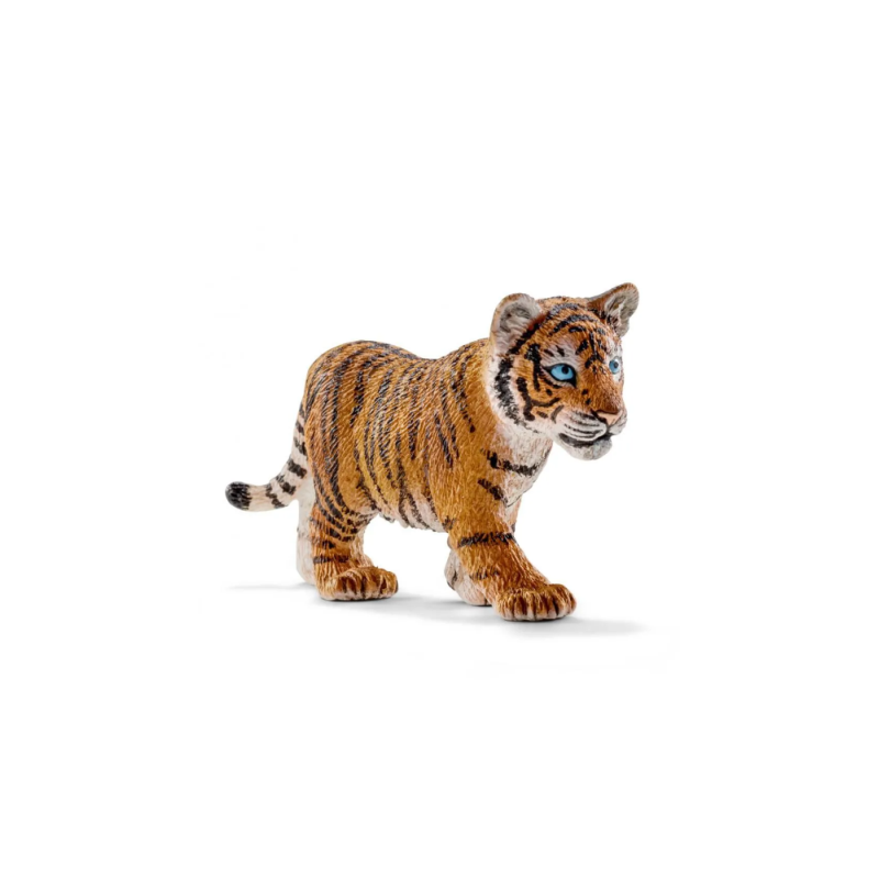 Jeune tigre du bangale