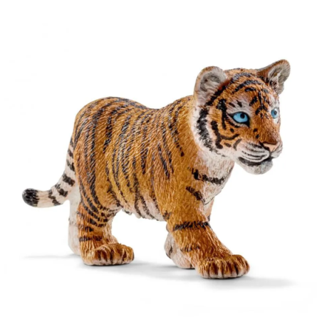 Jeune tigre du bangale