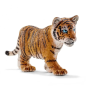 Jeune tigre du bangale
