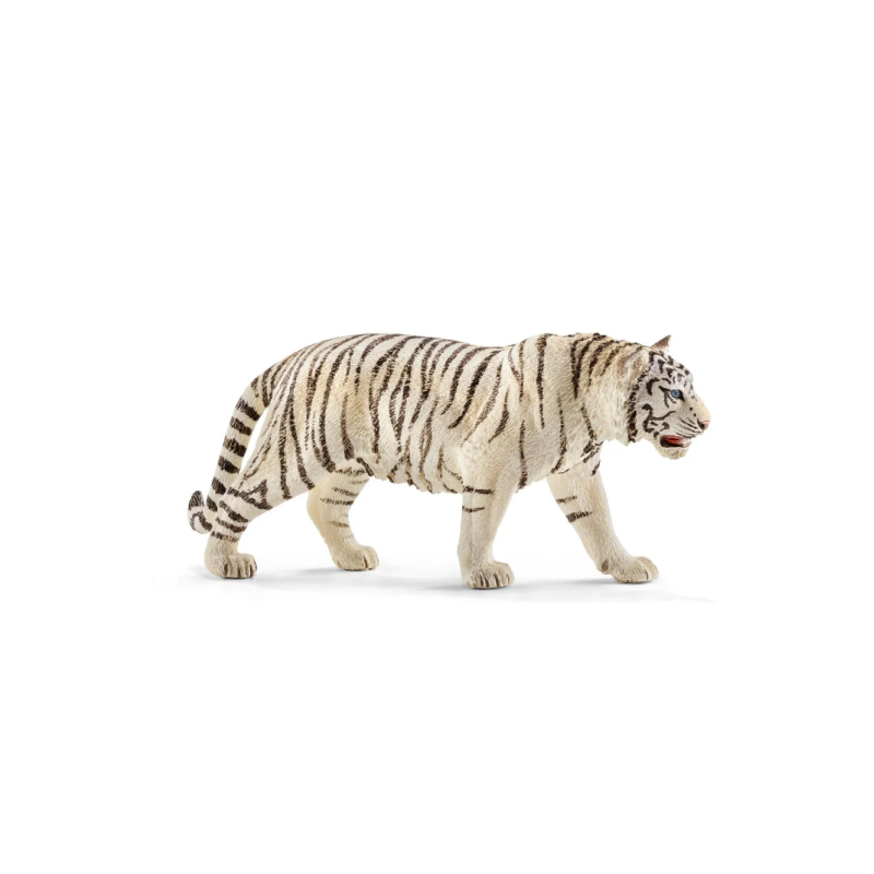 Tigre blanc