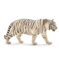 Tigre blanc