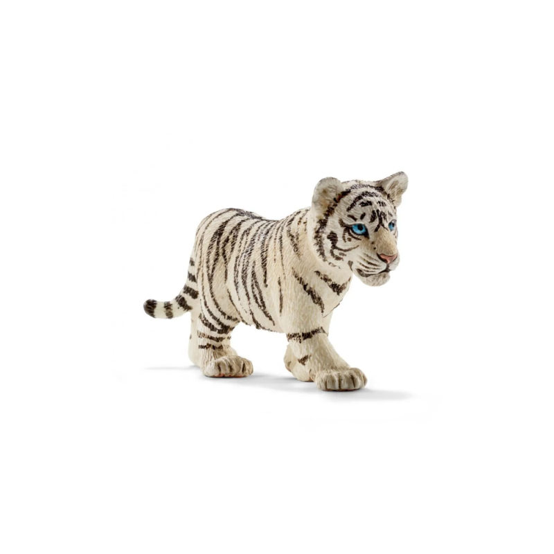 Jeune tigre blanc