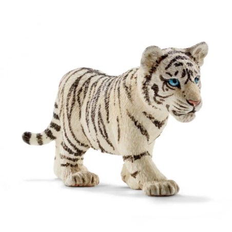 Jeune tigre blanc