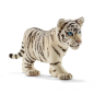Jeune tigre blanc