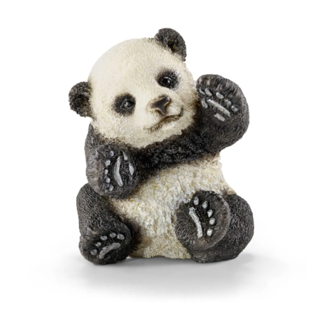 Jeune panda