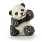 Jeune panda