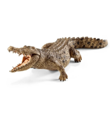 Crocodile