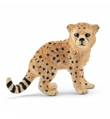 Bébé guépard