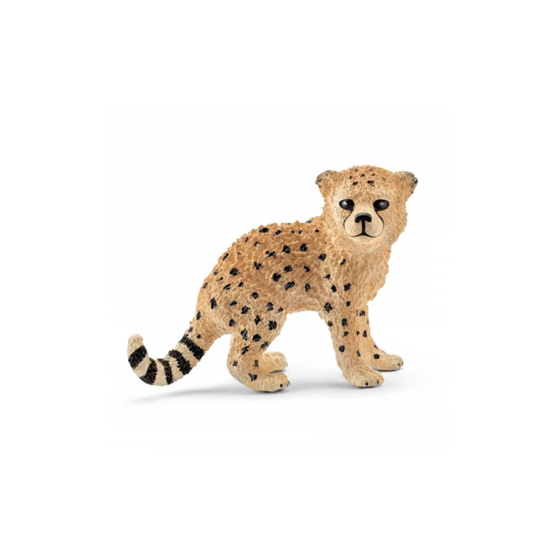 Bébé guépard