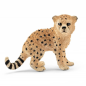 Bébé guépard