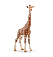 Femelle girafe