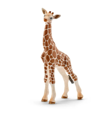 Bébé girafe