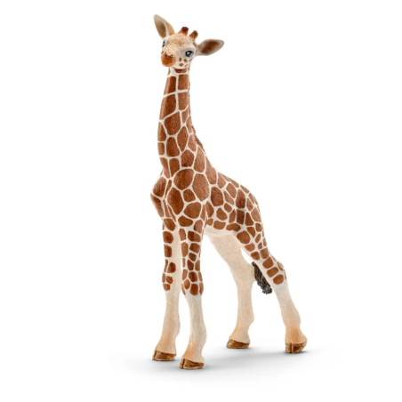 Bébé girafe