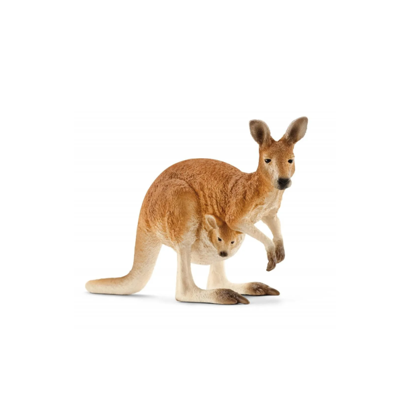 Kangourou