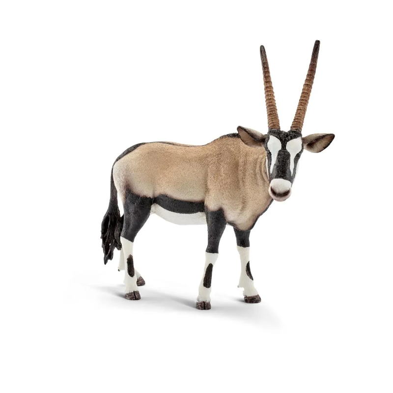 Oryx