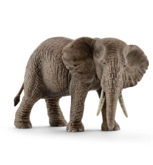 Éléphant d'Afrique femelle
