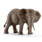 Éléphant d'Afrique femelle