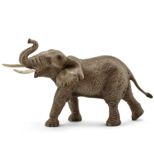 Éléphant d'Afrique mâle