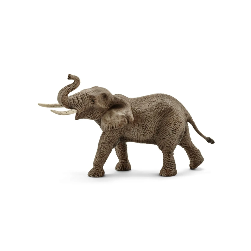 Éléphant d'Afrique mâle