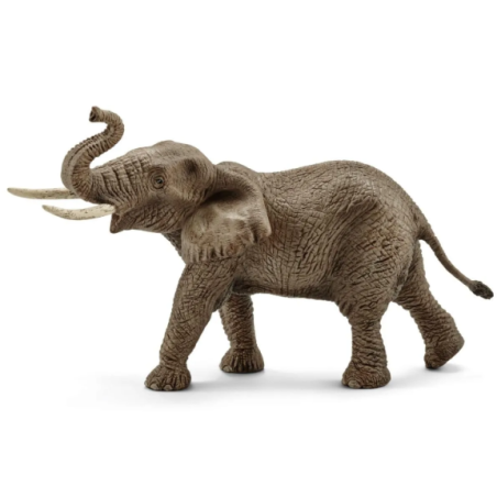 Éléphant d'Afrique mâle