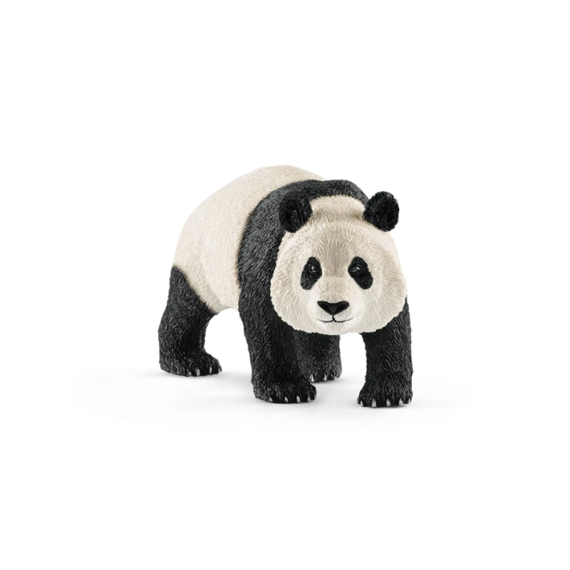 Panda géant