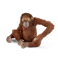 Orang-outan