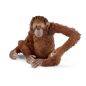Orang-outan