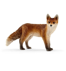 Renard