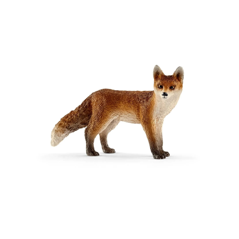 Renard