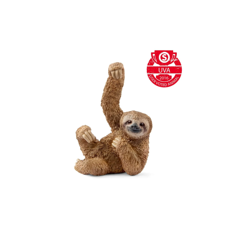 Paresseux