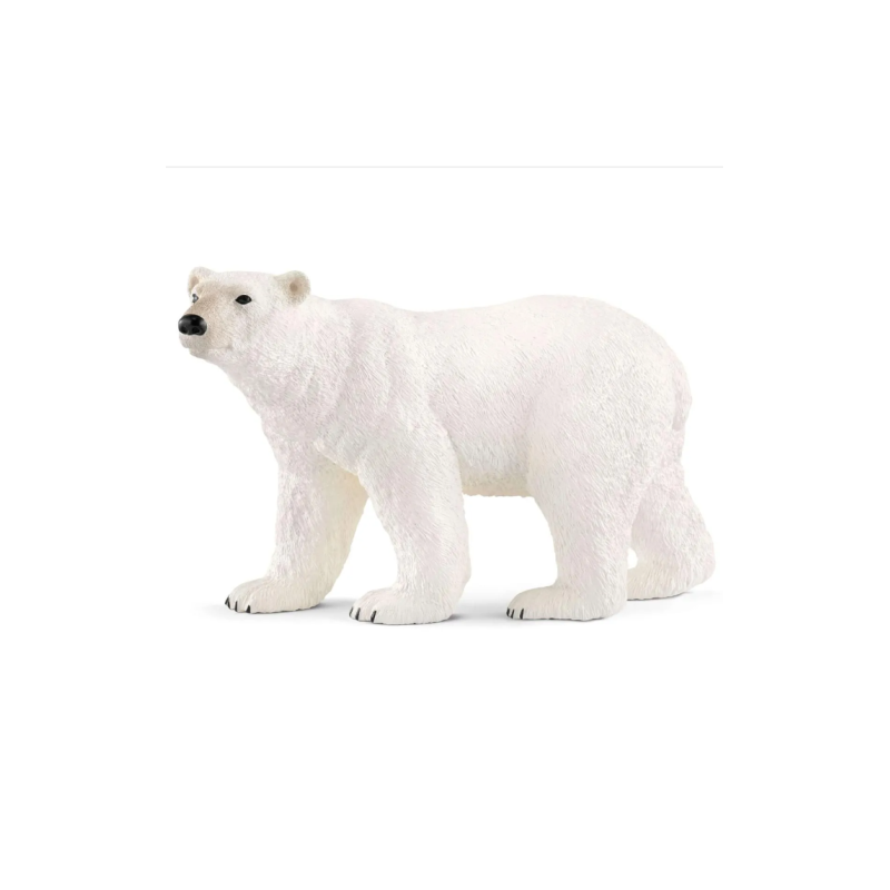 Ours polaire
