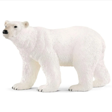Ours polaire