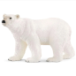 Ours polaire