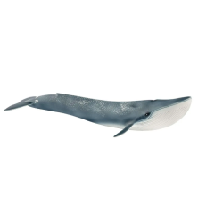 Baleine bleue