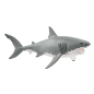 Requin blanc