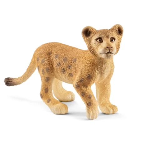 Lionceau