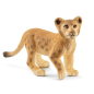 Lionceau