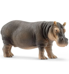 Hippopotame