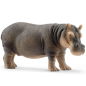Hippopotame