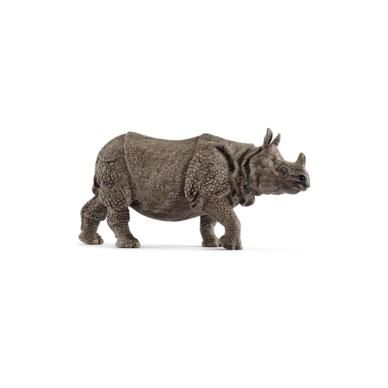 Rhinocéros indien